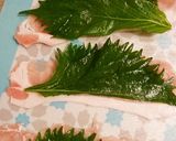 巻きしゃぶしらす入れタレ添え作り方3写真