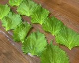 大葉 シソ 冷凍保存作り方1写真