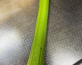簡単！ツナセロリマヨ＊ベーグルサンド作り方1写真