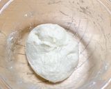 【発酵種】ヨーグルト種白パン作り方5写真