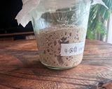 サワー種の起こし方作り方8写真