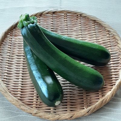 野菜ソムリエ】ズッキーニのお手軽フライ by 京都府 【クックパッド