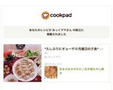 切るのはネギだけ♪お手軽もやし餃子作り方14写真