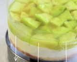 メロンinメロンワインのレアチーズケーキ作り方30写真