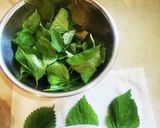 大量の大葉は塩漬けで長期保存作り方1写真