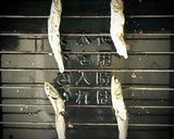 磯香る海苔汁　いりこ出汁編作り方2写真