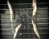 磯香る海苔汁　いりこ出汁編作り方3写真