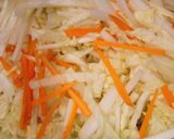 病みつき～白菜の甘酢漬け作り方1写真