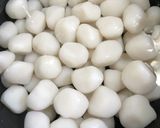 山形の玉こんにゃく煮作り方1写真