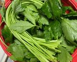 三つ葉大量消費！超簡単なおひたし作り方1写真