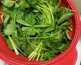 三つ葉大量消費！超簡単なおひたし作り方2写真