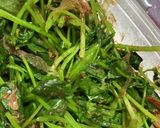 三つ葉大量消費！超簡単なおひたし作り方4写真