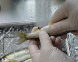 アユのコンフィ　キュウリのソースで作り方1写真