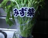 簡単シャキシャキ・水菜の塩揉み浅漬け作り方1写真