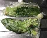 簡単シャキシャキ・水菜の塩揉み浅漬け作り方3写真