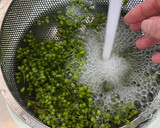 実山椒の下ごしらえ作り方1写真