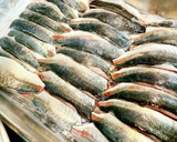 【保育園給食】大人気！アジのカレー揚げ作り方1写真