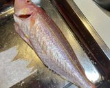 いとよりとアカハタのワイン蒸作り方1写真