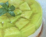 メロンinメロンワインのレアチーズケーキ作り方34写真