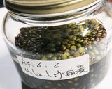 山椒の醤油漬け作り方6写真