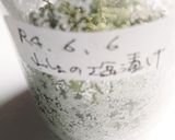 山椒の塩漬け作り方6写真