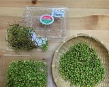 山椒の下ごしらえ作り方1写真