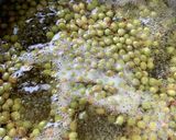 山椒の下ごしらえ作り方4写真