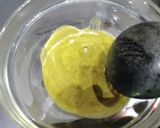 梅肉エキス作り方19写真