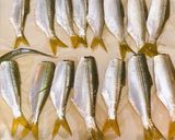 コノシロのお魚ハンバーグ作り方2写真