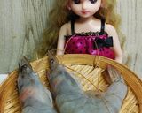 リカちゃん♡えび八宝菜中華炒め꧂作り方1写真
