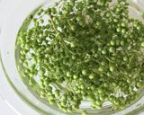 季節の食材【実山椒の下ごしらえ】作り方1写真