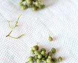 季節の食材【実山椒の下ごしらえ】作り方4写真