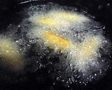 おさかなのソーセージでポテト餅巻き揚げ作り方9写真
