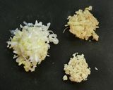 ナスチリ(茄子のチリソース煮)☆作り方1写真