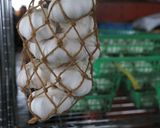 にんにくの長期保管と食味の変化作り方1写真