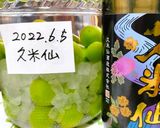 今年の梅酒は泡盛古酒久米仙です作り方4写真