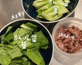 ほたるいかとちんげん菜のチーズパスタ作り方1写真