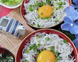 簡単【釜揚げしらす丼】モトイ釜揚げ白魚丼作り方5写真