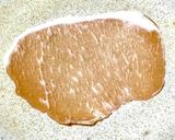[夏の一品！] 梅干しの生ハム巻き作り方1写真