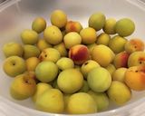 梅の黒煮(覚書)作り方1写真