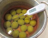 青梅の蜜煮作り方5写真