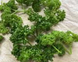 レンジで*パセリ 大量消費サクサクチップ作り方1写真