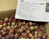 梅シロップ作り方1写真