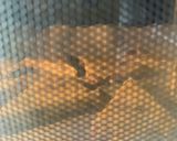 ほっこりサクサク甘栗スコーン作り方10写真
