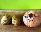 玉ねぎシュウマイ皿料理作り方1写真