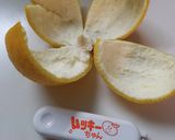 簡単 甘夏のジャム作り方9写真