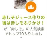 赤しそジュース作りの後は赤しそふりかけ！作り方13写真