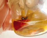 【激辛注意！！】ハバネロチキン南蛮作り方4写真