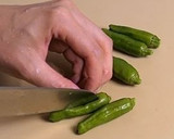 茄子とししとうの揚げびたし作り方2写真