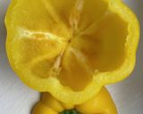 パプリカの肉野菜詰め　オーブン焼き作り方1写真